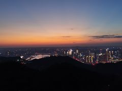 -大金鹰园