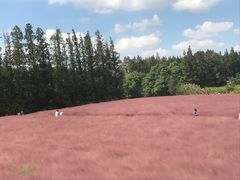 -嘉北郊野公园