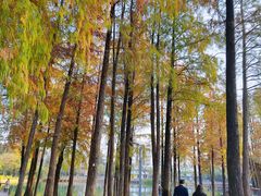-四海公园(南山区)