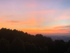 -铁山坪森林公园