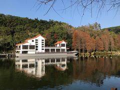 -深圳仙湖植物园-停车场