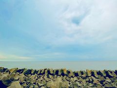 -南汇嘴观海公园