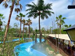 -苏州乐园森林水世界