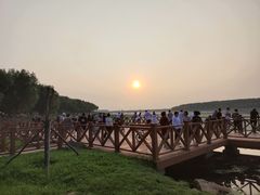 -丁香湖公园