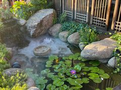 -大自然(鲁家村店)