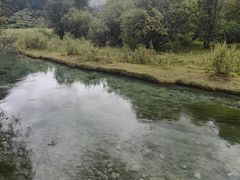 -稻城亚丁景区-冲古草甸