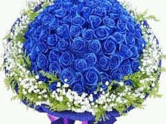 蓝色妖姬-容玉花店