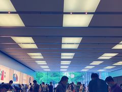 店内环境-Apple零售店(深圳益田假日广场店)