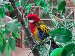 -南宫五洲植物乐园