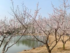 -东郊湿地公园