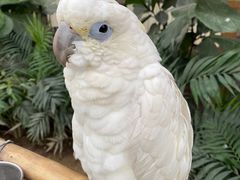 -南宫五洲植物乐园