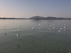 -蠡湖大桥公园