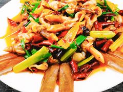 辣炒芒果螺-南海渔家•海鲜•正宗海南菜(海棠湾店)
