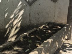 -王家大院