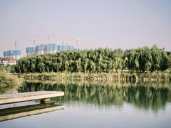 -马家湾湿地公园