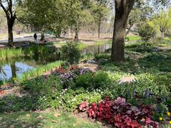 -上海共青森林公园