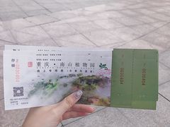 -南山植物园