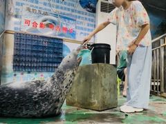 -嘉兴海底世界