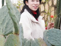 -夏河溪乡野公园