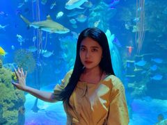 -沈阳海洋探索中心