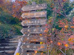 -周口店坡峰岭风景区