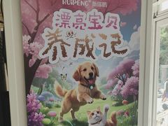 -美联众合爱康动物医院•复杂内科•肿瘤科•牙科•腔镜诊疗中心