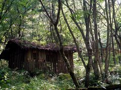 -神农架香溪源景区