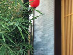 -渔藤(万柳东路店)