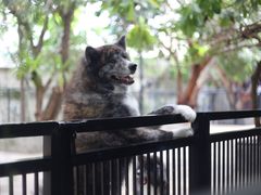 -TrueLove @ Neverland (Husky Cafe)