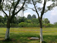 -南宁花花大世界景区