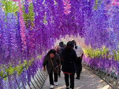 -石燕湖生态旅游景区