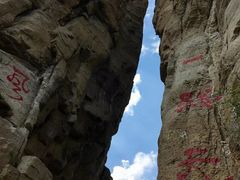 -原山国家森林公园