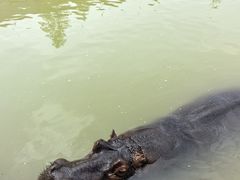 -杭州野生动物世界