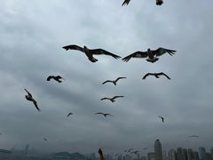 -星海广场