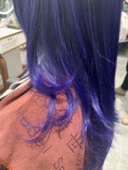 -MODEL SAGA名媛世家