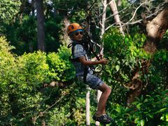 -清迈丛林飞跃 JungleFlight