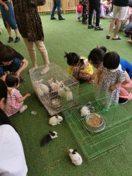 -萌宠亲子动物乐园(槐房万达店)