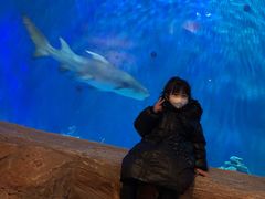 -华夏文旅海洋公园