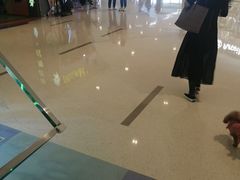 -风云再起游乐汇(皇城恒隆广场店)