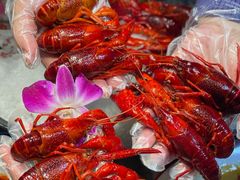 -舞虾小说.涮肉.烧烤(国顺东路店)