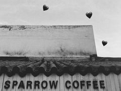 门面-麻雀咖啡SPARROW COFFEE(十全街店)