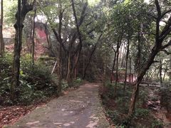 -飞霞风景名胜区