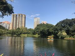 -晓港公园