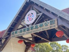 -上海海湾国家森林公园