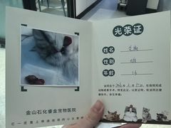 -睿金宠物医院·CT·肿瘤·骨外科
