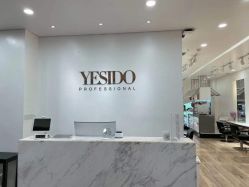 -YESIDO椰岛造型