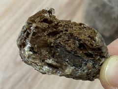 巧克力可颂面包干-都恩客(高岛屋百货店)