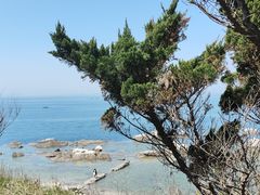 -养马岛旅游度假区