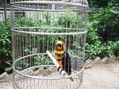 -南宫五洲植物乐园