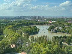 -上海野生动物园
